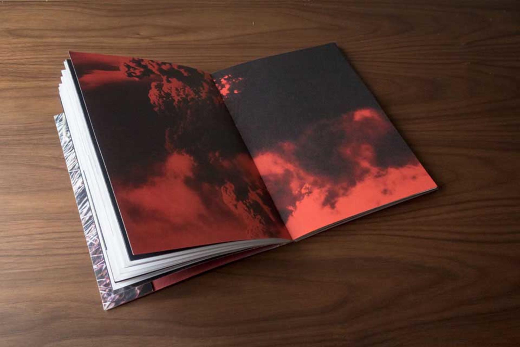 Bestiae, proyecto artístico sobre la dominación animal en la caza